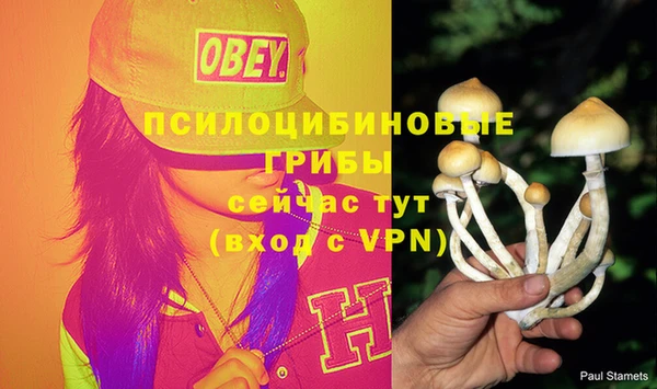 первитин Балахна