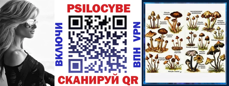 Купить  Чайковский  Галлюциногенные грибы MAGIC MUSHROOMS 